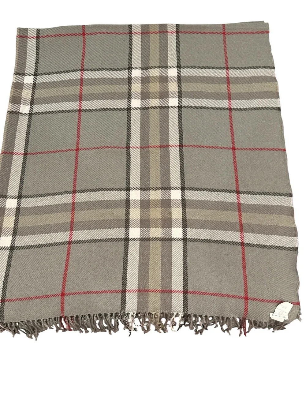 Pottery Barn Gray & Red Plaid Fringe throw blanket